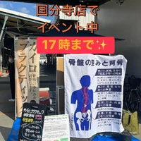 画像242