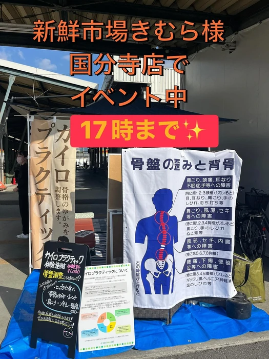 画像242