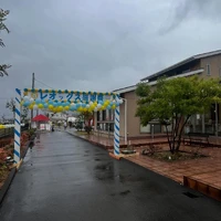 画像246