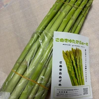 画像271