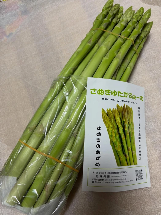 画像271